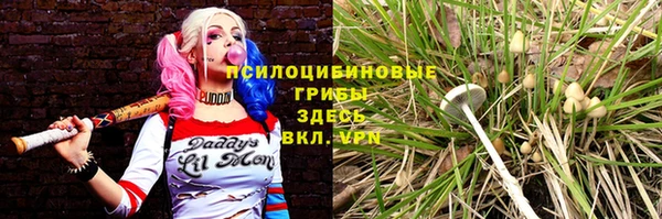 дурь Арсеньев