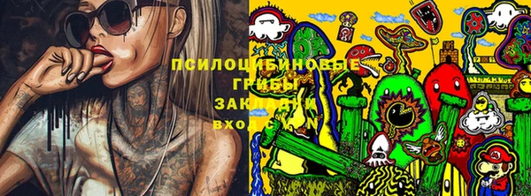 трава Аркадак